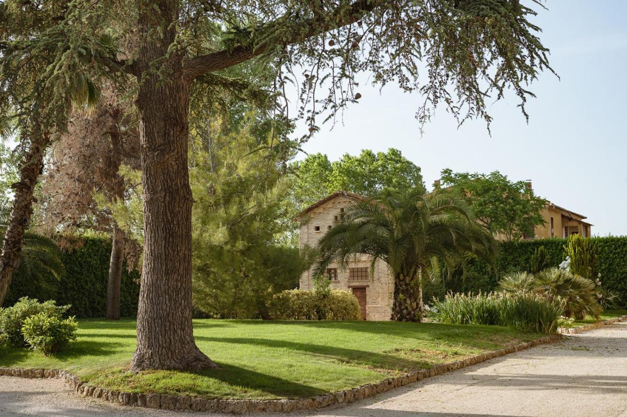 Villa Corallo Sant'Omero المظهر الخارجي الصورة